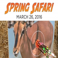 Spring Safari