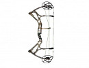 Compound bows