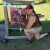 BreAna Cannon