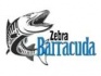 Mathews Zebra Baracuda