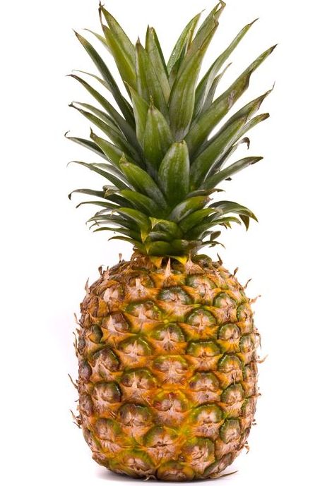 Ananas (Pineapple, Nanas, Pina)